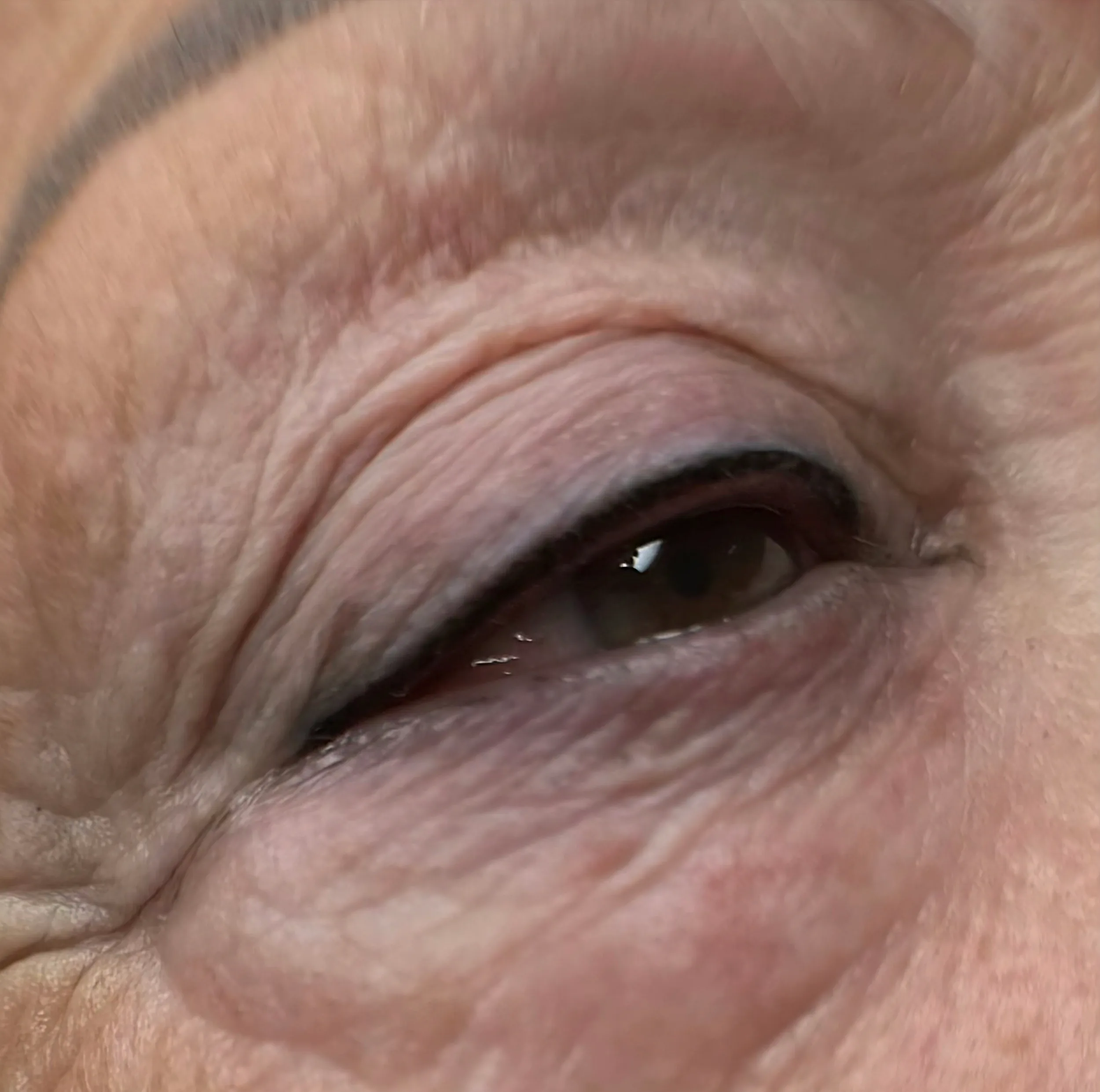 Permanent eyeliner on a mature client, following the lash line through the lid's fine creases