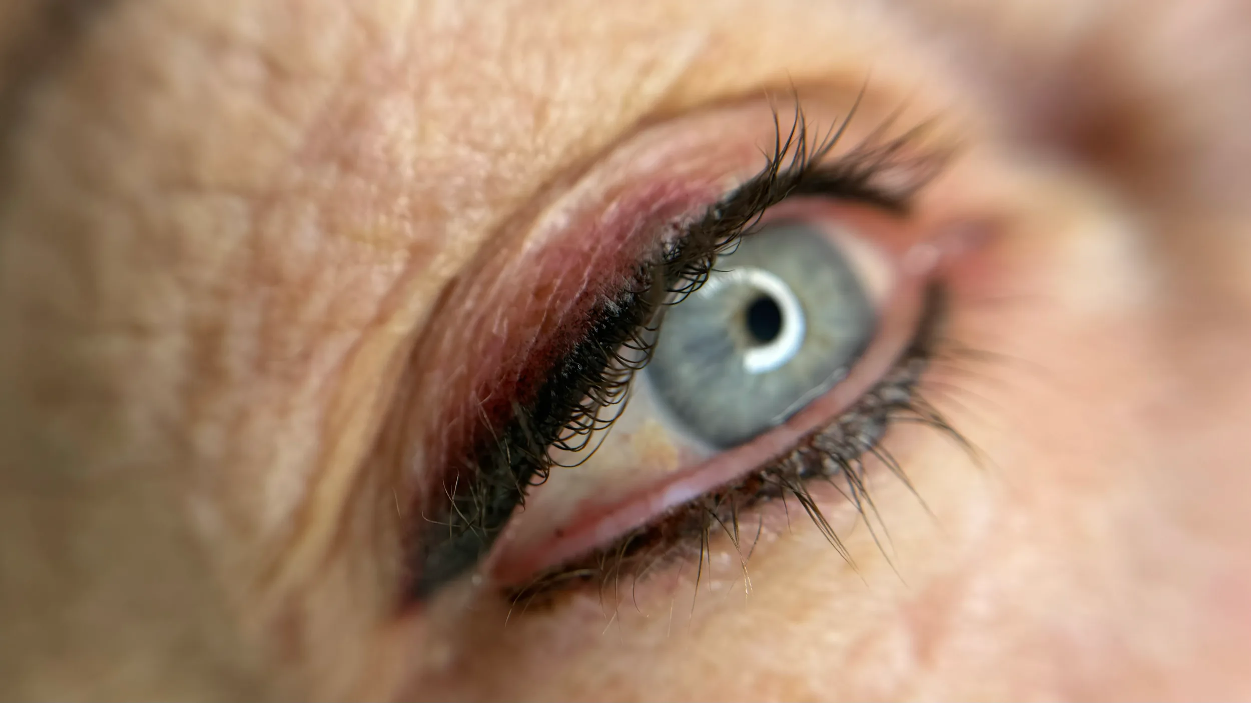 A soft winged liner above fair lashes